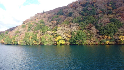 Obraz premium 湖の上から見た森林の風景