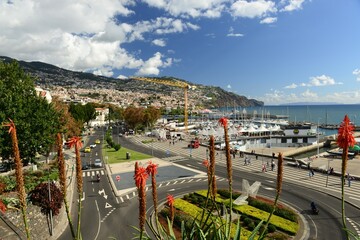 Funchal, Madeira, Portugal. The island coastal capital and port, viewed from Santa Catarina park.