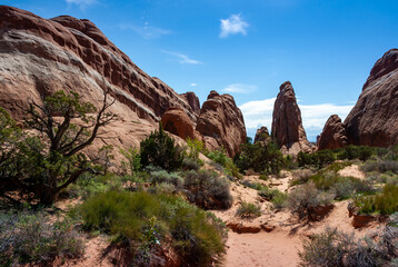 View from Devils Garden Hiking Trail in Arches National Park