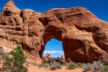 Pine Tree Arch off Devils Garden Trail in Arches National Park, Utah