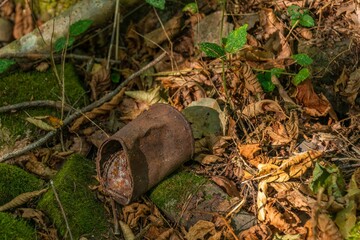 an old rusty used tin can lies on the ground in fallen orange leaves in the mountains of the Western Caucasus (South Russia) on a sunny summer day