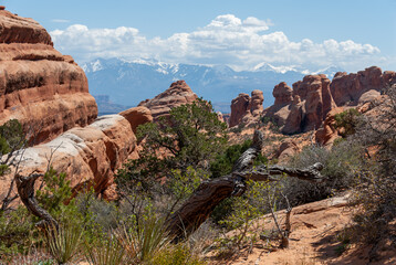 View from Devils Garden Hiking Trail in Arches National Park, Utah