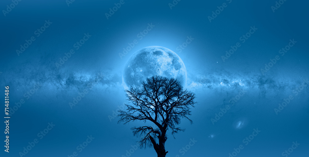 Poster lone dead tree with super full blue moon milky way galaxy in the background 