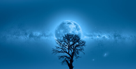 Lone dead tree with super full blue Moon milky way galaxy in the background 