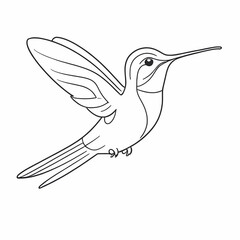 illustration of a hummingbird, outline art  for coloring