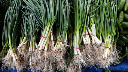 Bundles of green onions sold on the stall at the farmers' market.