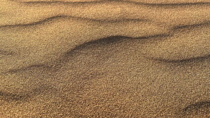 Fototapeta na wymiar Detail view of Patara sand dunes, Turkey.