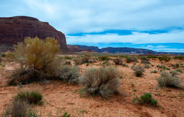 Desert landscape with red rocks and dry vegetation on red sands in Monument Valley, Navajo Nation,  Arizona - Utah