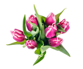 Tulip flowers bouquet isolated on transparent white background