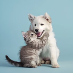 puppy and kitten playing together in studio on pale blue background