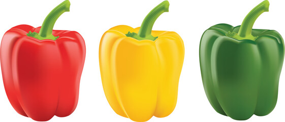 Sweet pepper, Red, green, Yellow paprika, isolated on White background, full depth of field