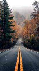 beautiful road scenery in autumn