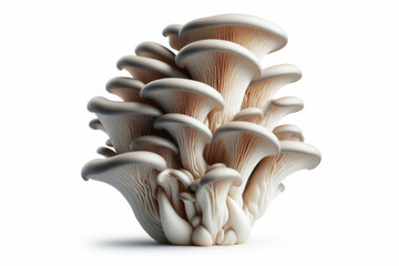 Oyster Mushroom isolated on solid white background. ai generative