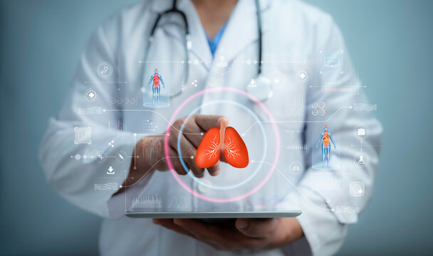A medical worker touch virtual Holograms Lung organ human.HUD interface hologram. Innovative health care analysis of AI technology digital hi tech.Modern treatment future medicine..