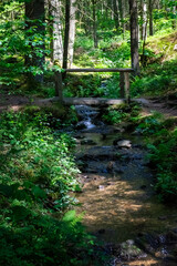  Stream in the Bavarian Forest