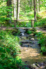 Obraz premium Stream in the Bavarian Forest