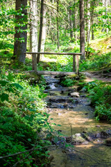  Stream in the Bavarian Forest