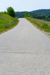 Path and Streets in the Bavarian Forest