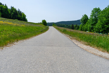Path and Streets in the Bavarian Forest