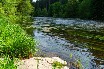  River Rain Regen in the Bavarian Forest
