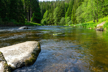  River Rain Regen in the Bavarian Forest