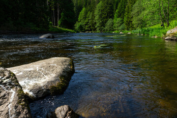  River Rain Regen in the Bavarian Forest