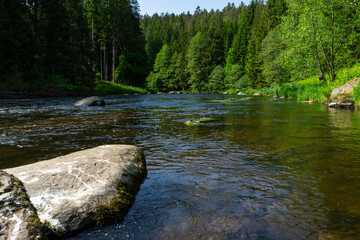  River Rain Regen in the Bavarian Forest