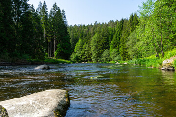  River Rain Regen in the Bavarian Forest