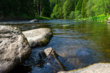  River Rain Regen in the Bavarian Forest