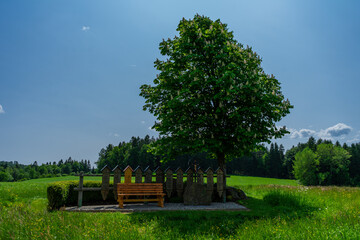 Rest Area in the Bavarian Forest