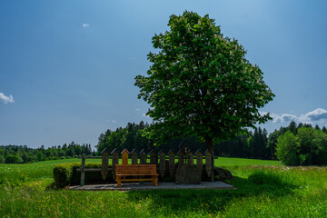 Rest Area in the Bavarian Forest