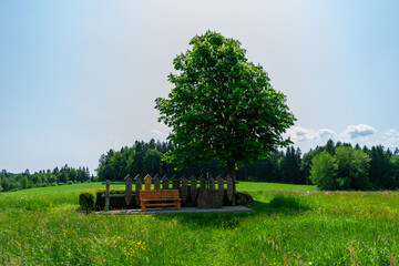 Rest Area in the Bavarian Forest