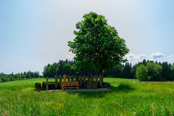 Rest Area in the Bavarian Forest