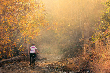 person walking in the woods