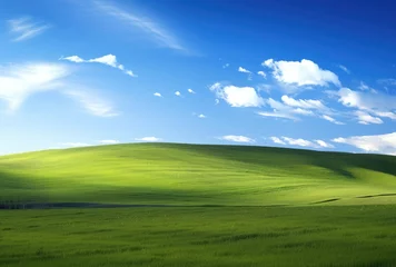 Foto op Plexiglas Rolling green hills beneath a brilliant blue sky adorned with fluffy clouds. © Murda