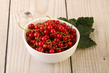 Ripe sweet organic red currant heap