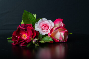 Three Roses