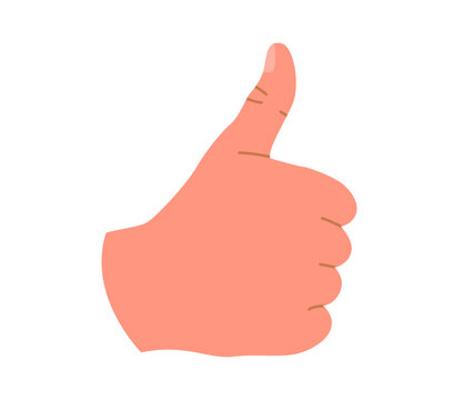Vector illustration of hand thumb up or like sign. Thumb up hand gesture isolated on white background.