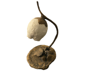 Image of Classic Desk Lamp