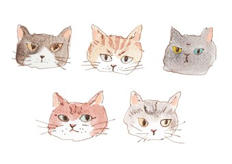 ドローイング、猫、イラスト、デザイン、クリップアート、