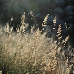 Nature, landscape. Forest, glade, grass, flowers, natural landscape. Photowallpaper.