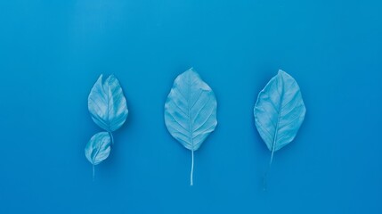 Blues leaves, creative background