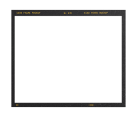 Camera transparent film strip mockup, isolated on white background template frame, real high-res 35mm photo scan analogue sheet negative