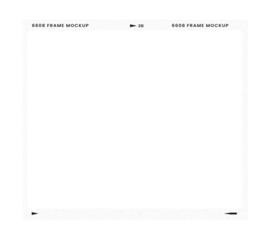 Camera transparent film strip mockup, isolated on white background template frame, real high-res 35mm photo scan analogue sheet negative