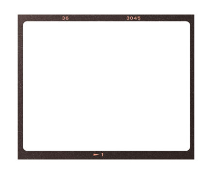 Camera transparent film strip mockup, isolated on white background template frame, real high-res 35mm photo scan analogue sheet negative