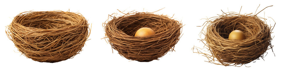 Collection of nests isolated on transparent or white background - obrazy, fototapety, plakaty