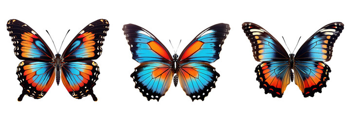 Collection of butterflies isolated on transparent or white background