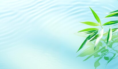 green bamboo leaf on water wave and stack. for Asian beauty spa concept banner