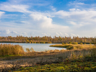 Autumn colours on trees at Newmans Flashes, Wincham, Cheshire, UK