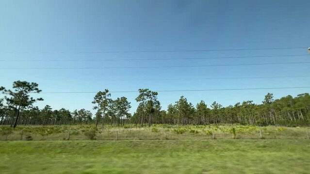 Driving through the Florida countryside on Highway 192.